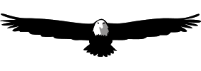 author-img