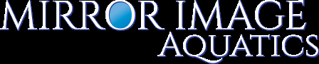 author-img