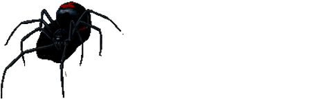 author-img