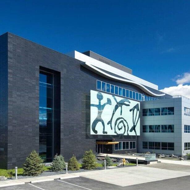 Alutiiq Security & Technology