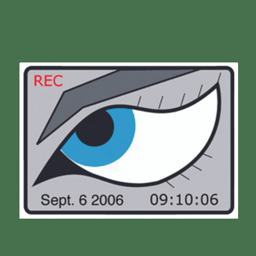 Santa Barbara Surveillance Company