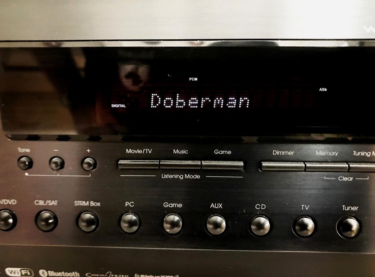 Doberman AV