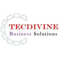 TecDivine Business Solutions LLC