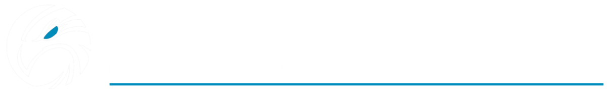 BlackHawk Security Tech