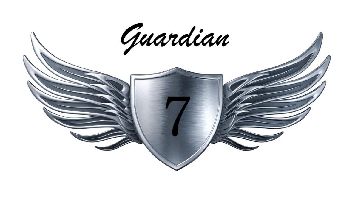 Guardian 7 Training, LLC