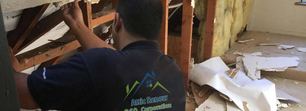 ATTIC RENEW 360