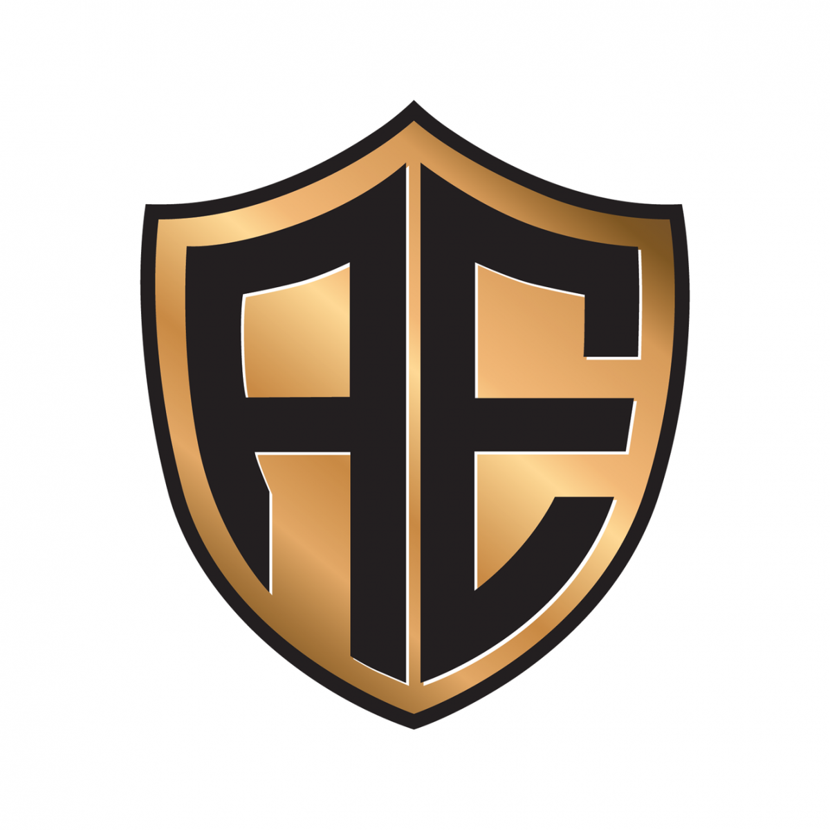 Aegis Locksmith Services
