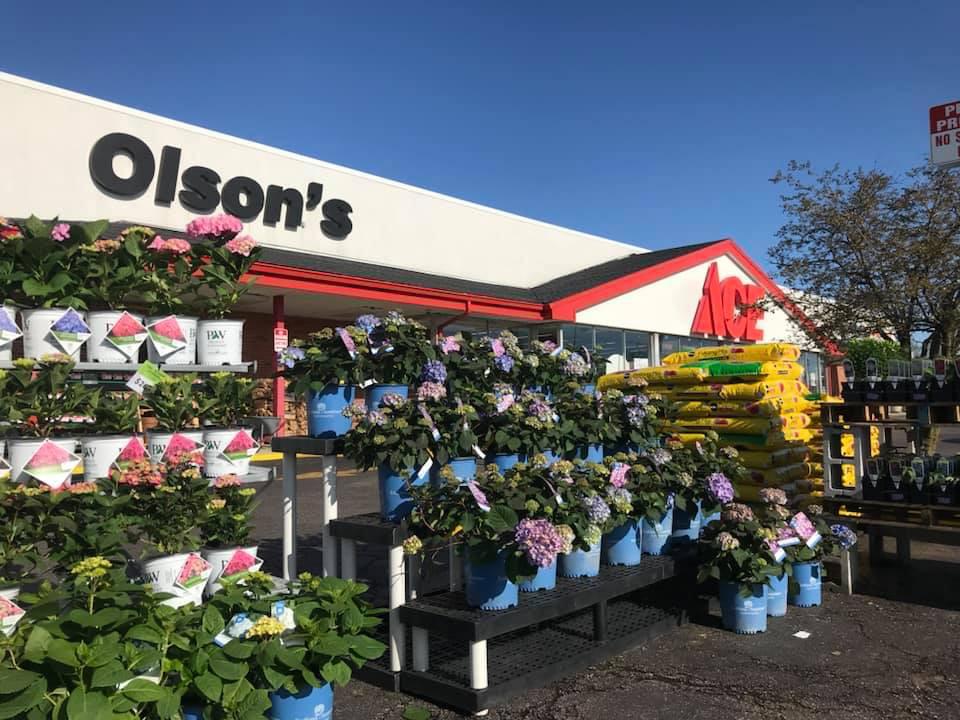 Olson's Ace Hardware