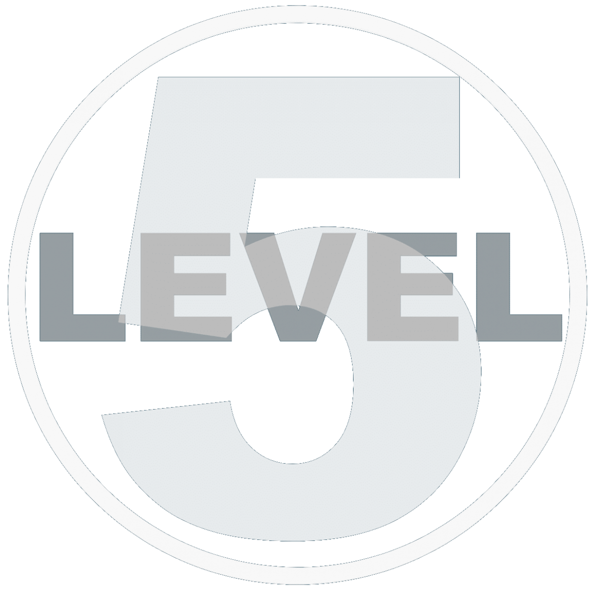 Level5 Management