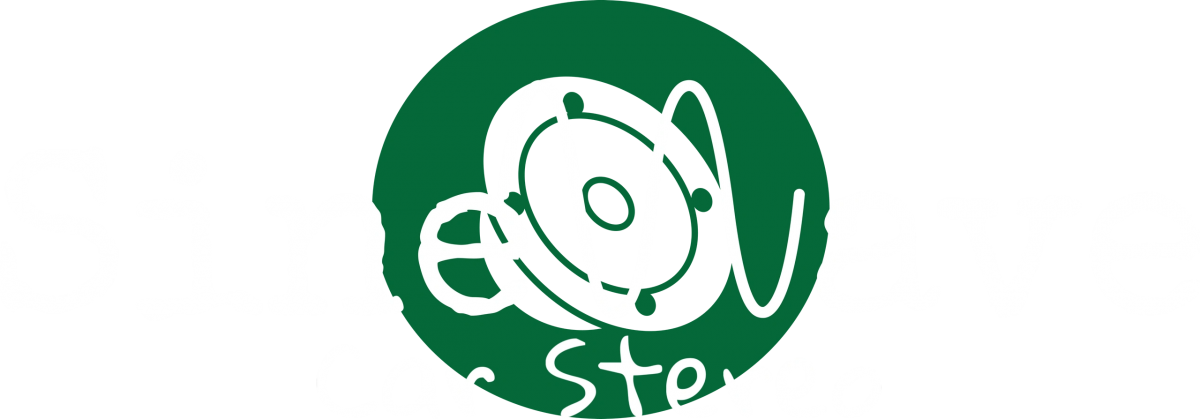 Sinewave Car Stereo The Remote Start Professionals