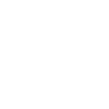 Pro-Vigil Video Surveillance