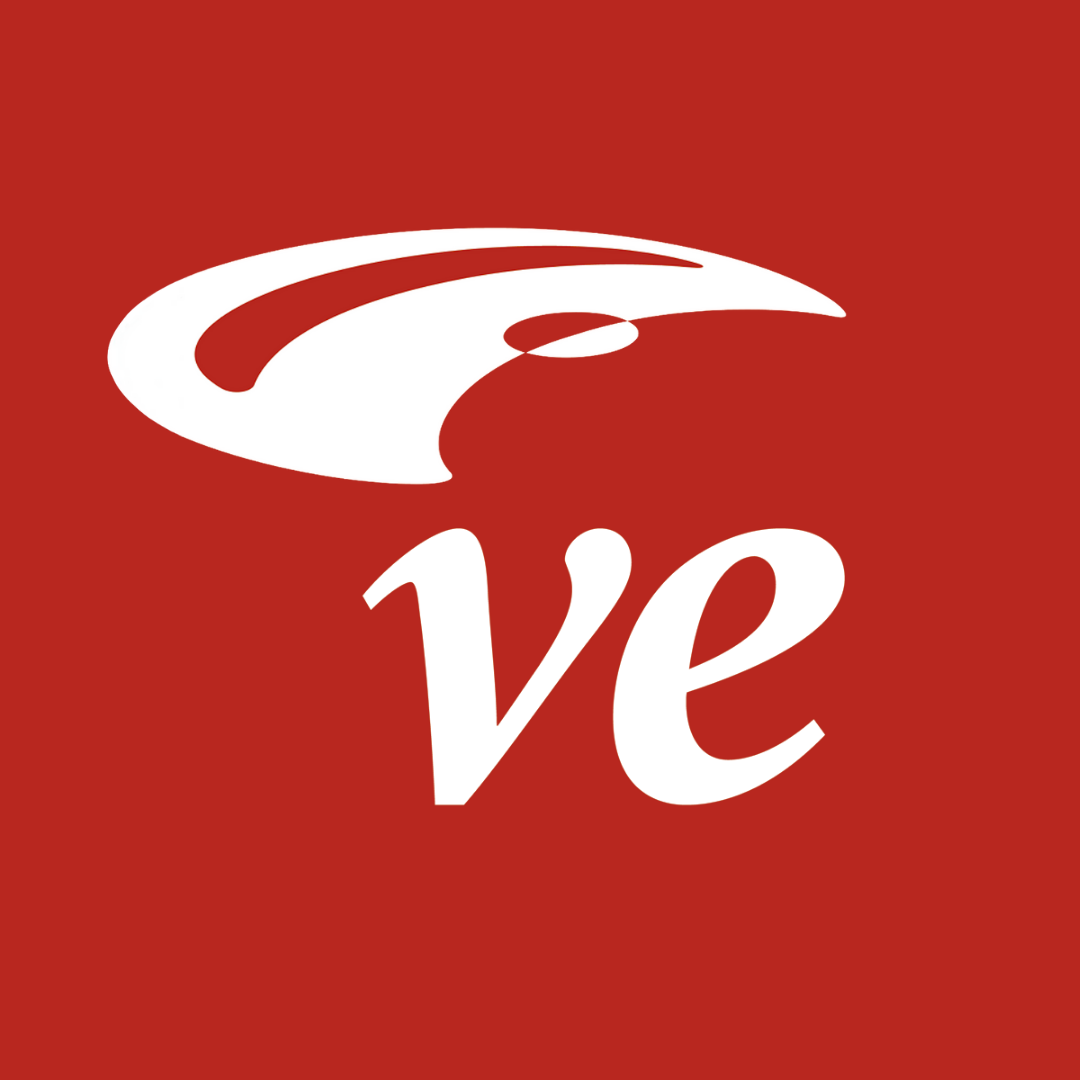 Velosity Electronics