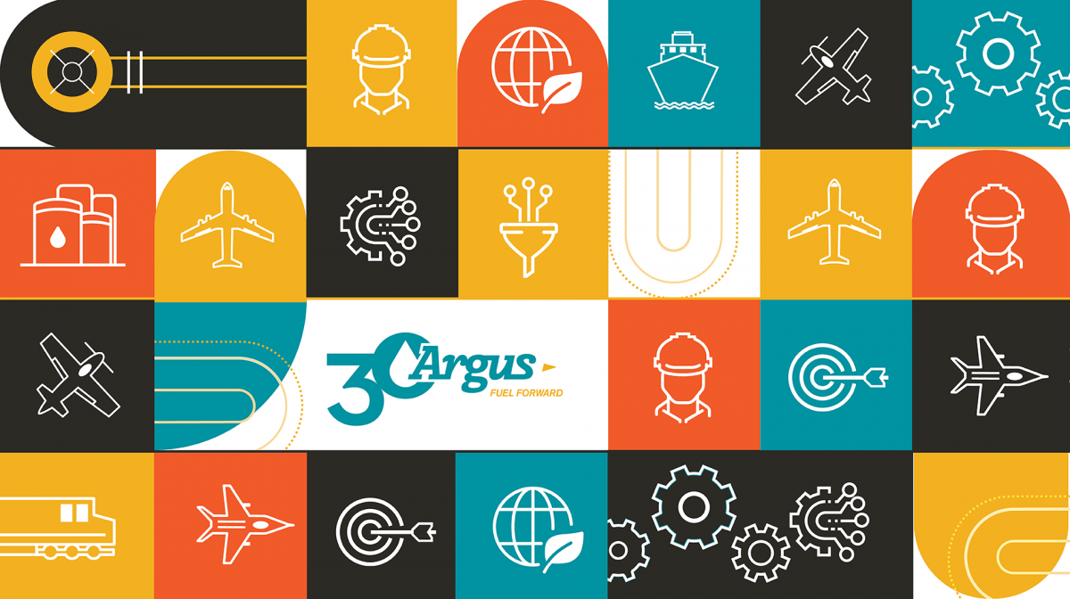 Argus Consulting, Inc