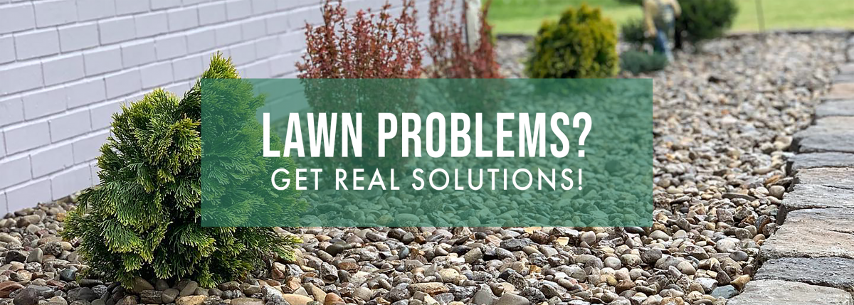 Real Solutions Professional Services LLP