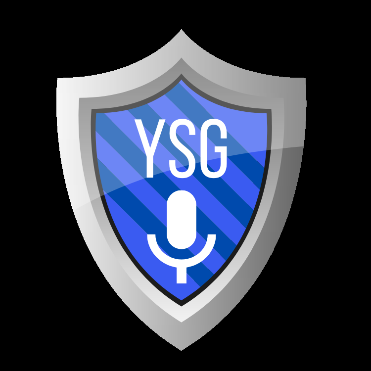 Your Security Guys Show