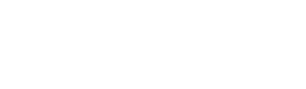 Sarracco Sentinel Fire & Security Services