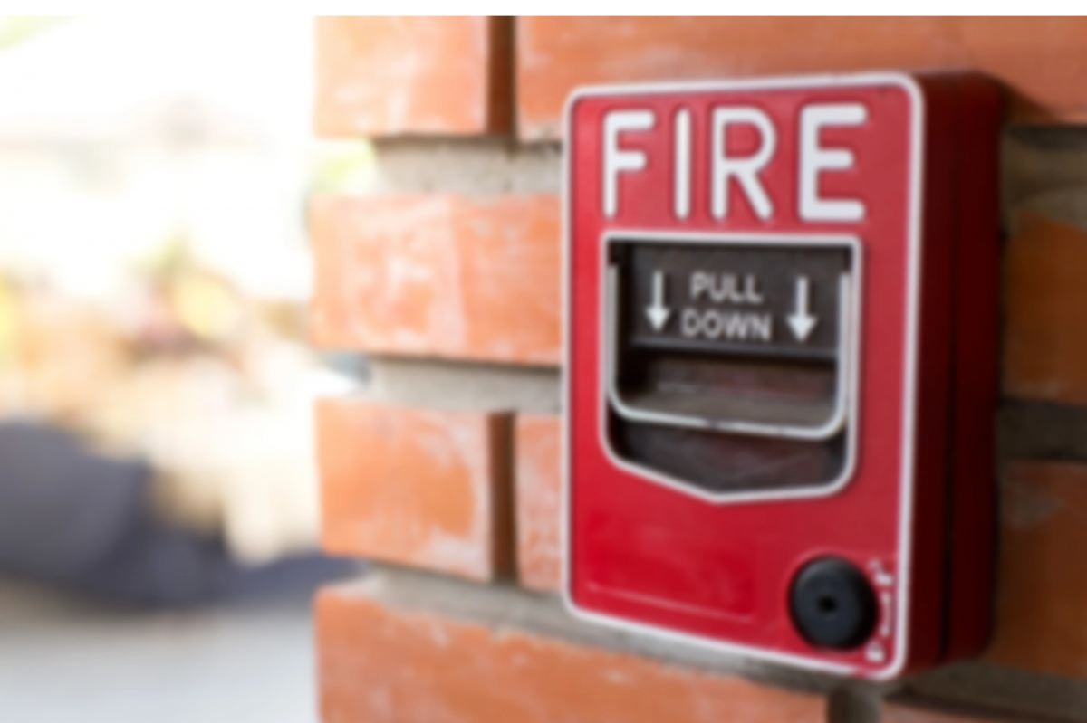 Southeastern Electronic Security Alarm Systems Inc. (SES) Fire Alarms