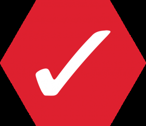 Business System Solutions, Inc.