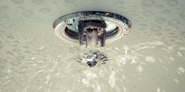 Dilo Fire Sprinkler Installations, Inc.