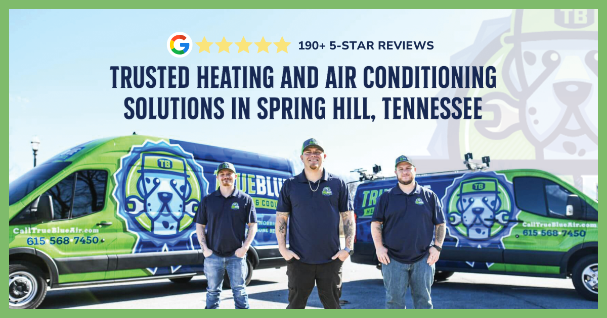 True Blue Heating And Cooling