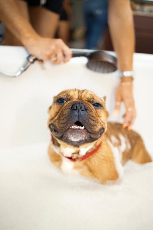 Plumbing Systems, Inc.