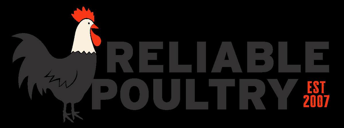 Reliable Poultry Supply