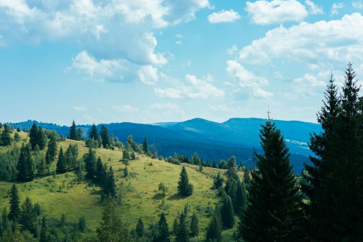 Evergreen Insurance Agency -Peter Schmidt