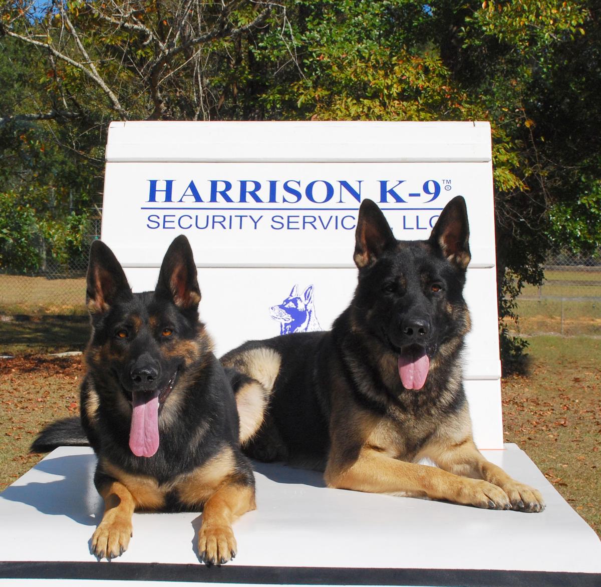 Harrison K-9*