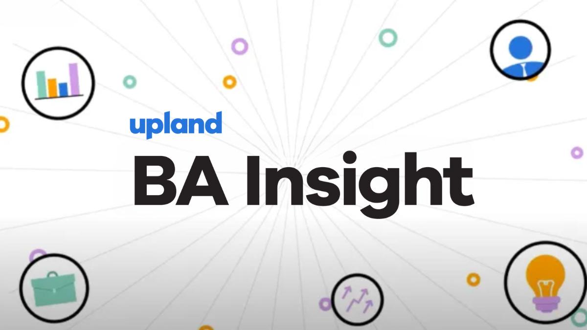 BA Insight