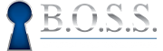 B.O.S.S. Retirement Solutions and Advisors