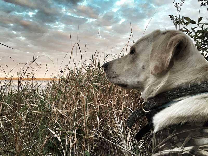 Kittle's Outdoor & Sport