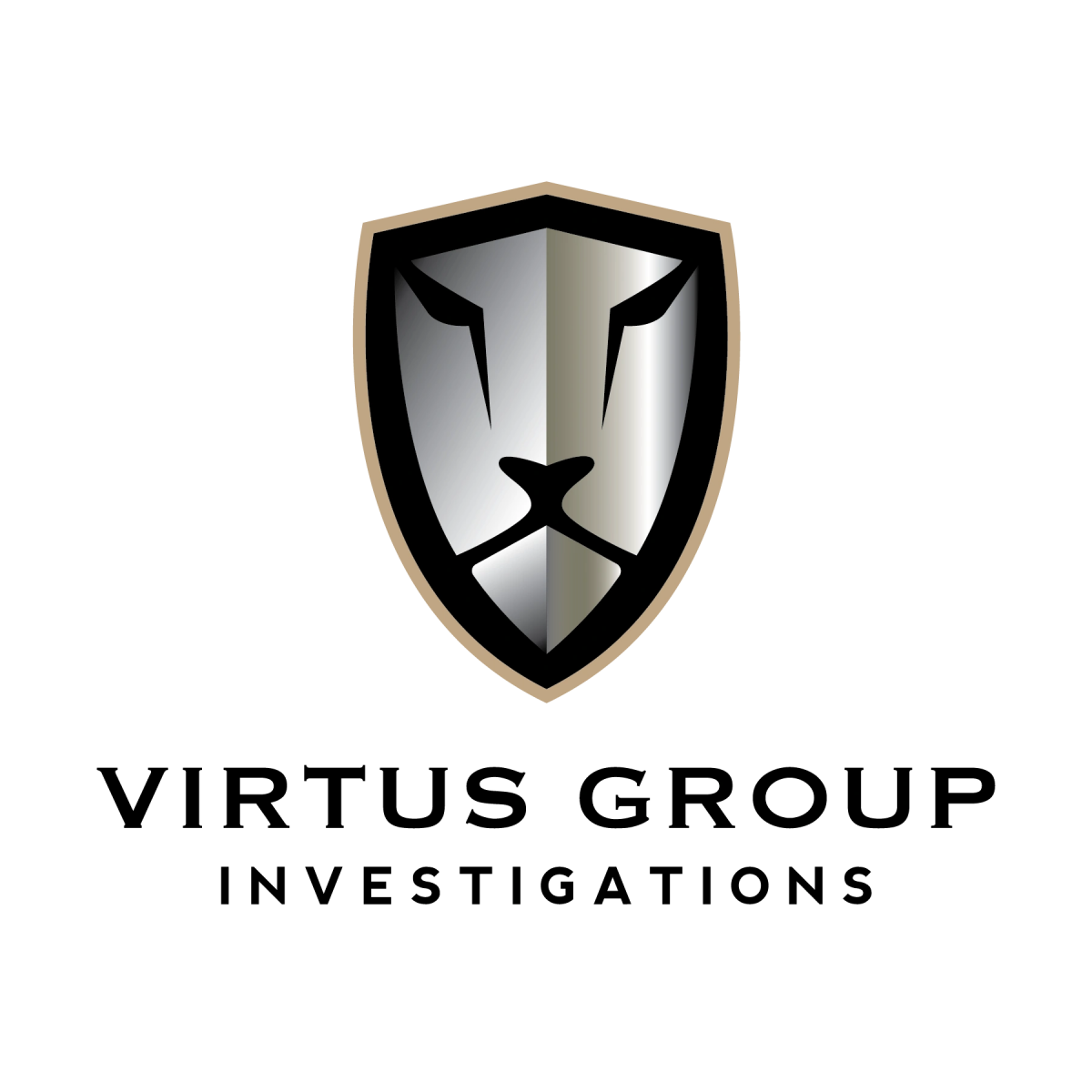 Virtus Group Investigations