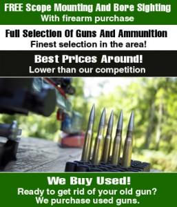 Accurate Guns & Ammo