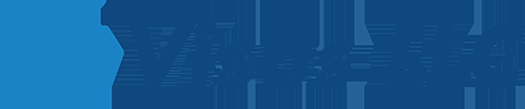 Visus LLC