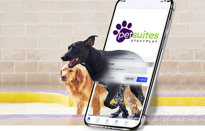 PetSuites Twinsburg