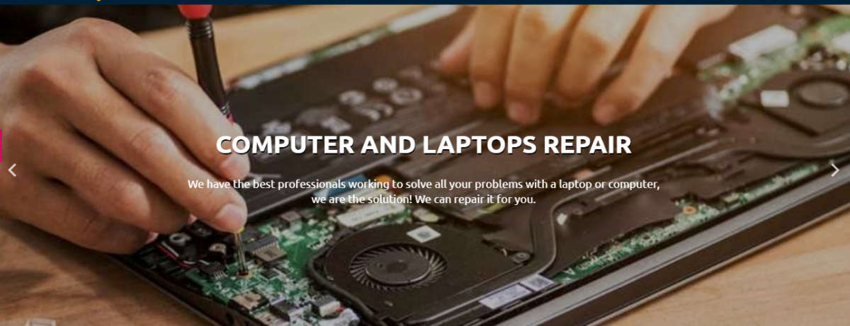 New Smart Services Inc