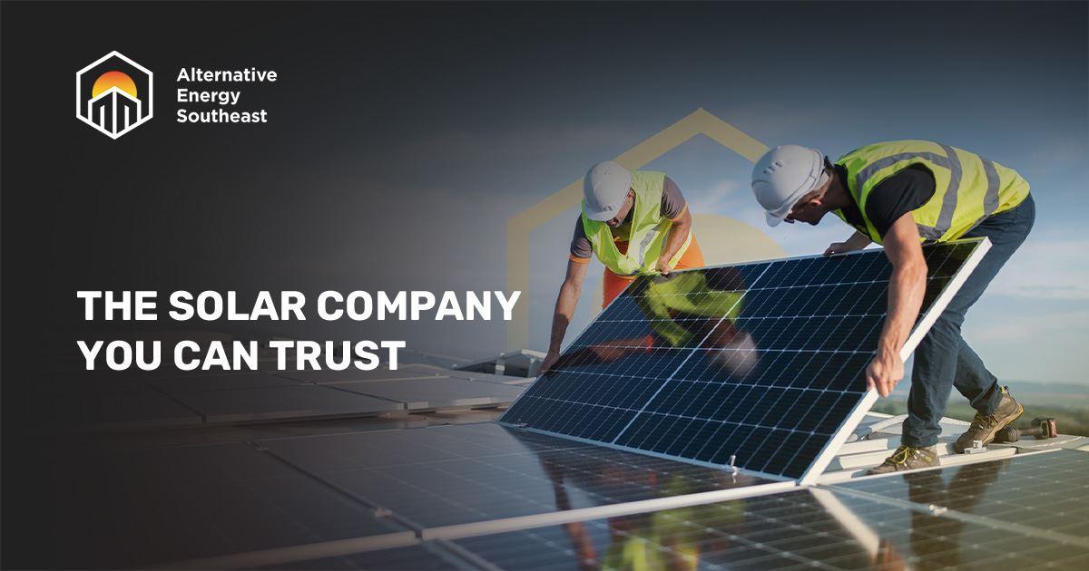 Alternative Energy Southeast, Inc.
