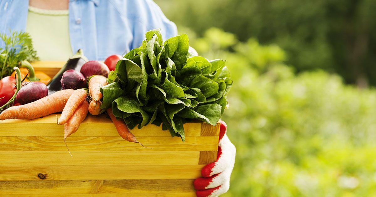 Andy T's Farm Market