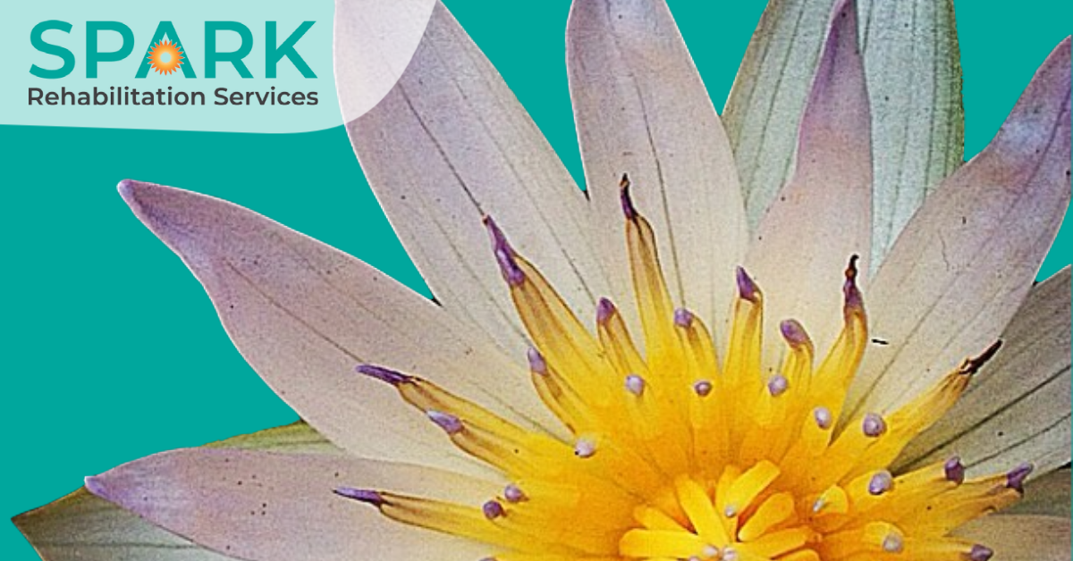 Spark Rehabilitation Services