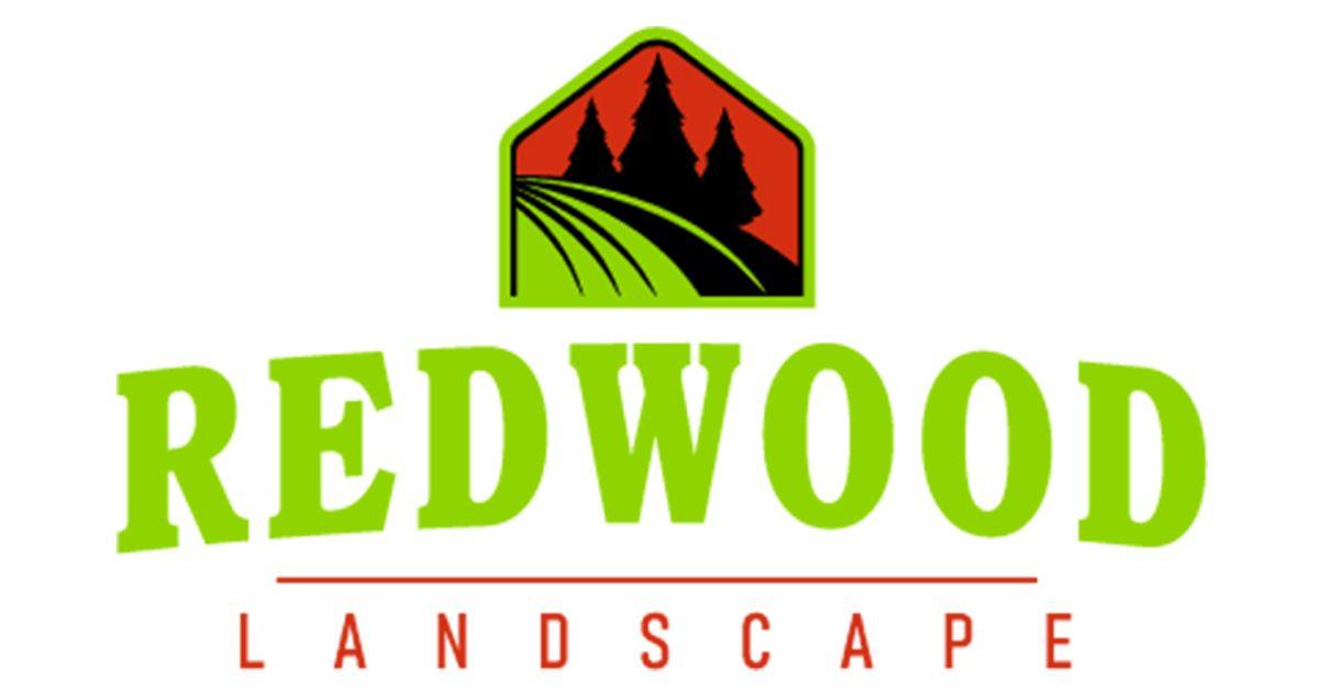 Redwood Landscape