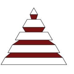 Ampro Data Services Inc