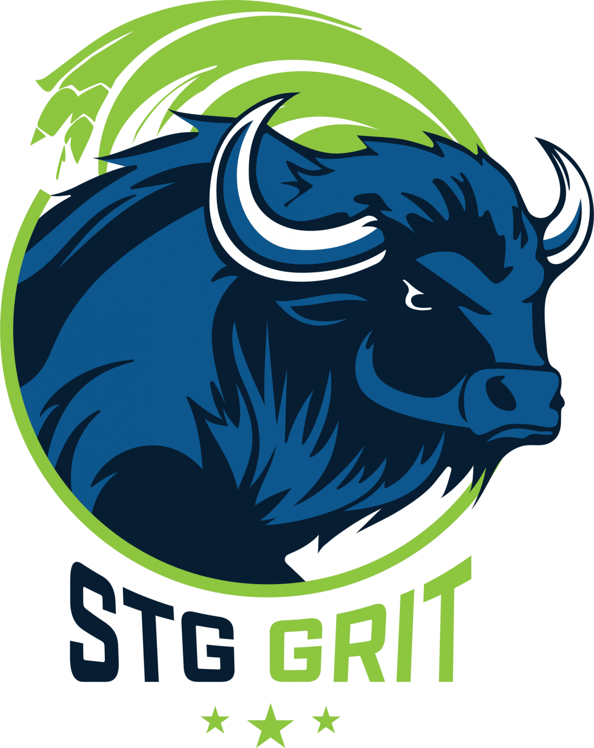 STG Electric Services, 24/7 Emergency Service