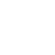 Big Johns Ace Lumber