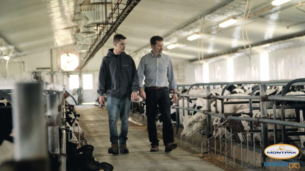 Catelli Brothers Inc