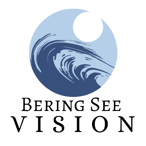 Bering See Vision, LLC