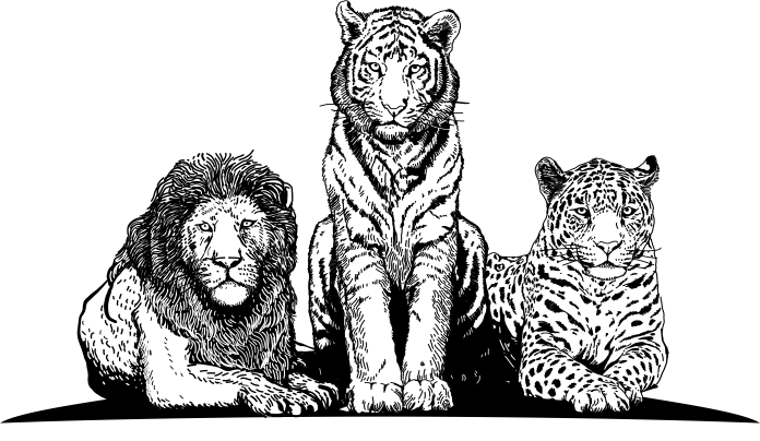 Lion Tiger Jaguar LLC