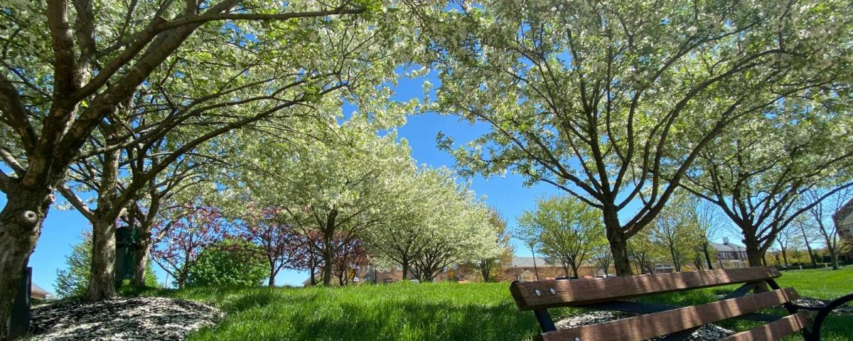 New Albany Chamber of Commerce