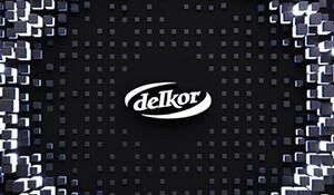 Delkor Systems - Headquarters