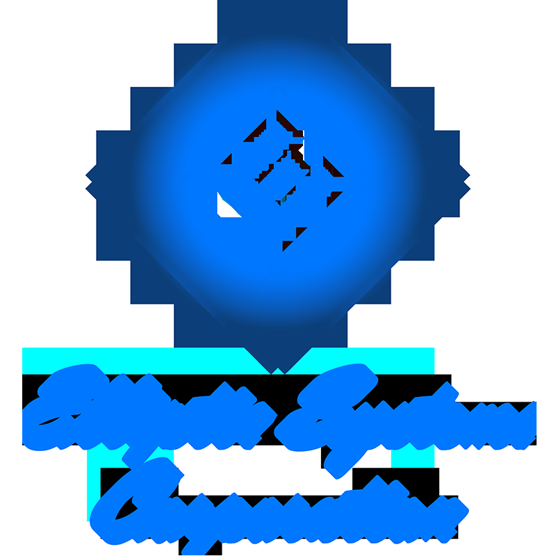 Elliptic Systems Corporation