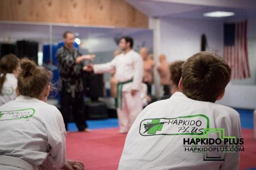 Hapkido Plus Martial Arts
